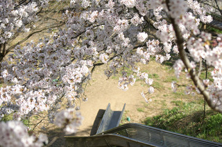 トンネル