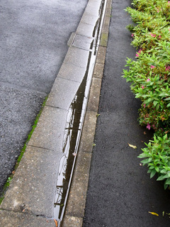 雨上がり