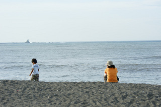 海