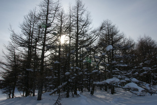 雪原