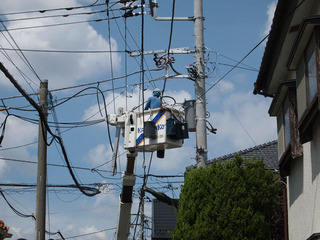 晩夏