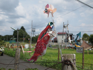 まあるい空